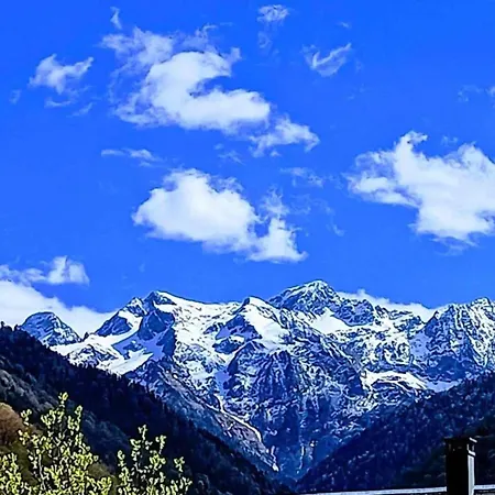 Well-kept In A Mountain Village *