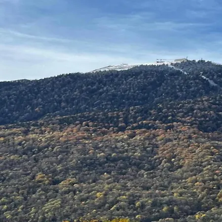 Well-kept In A Mountain Village Apartment *